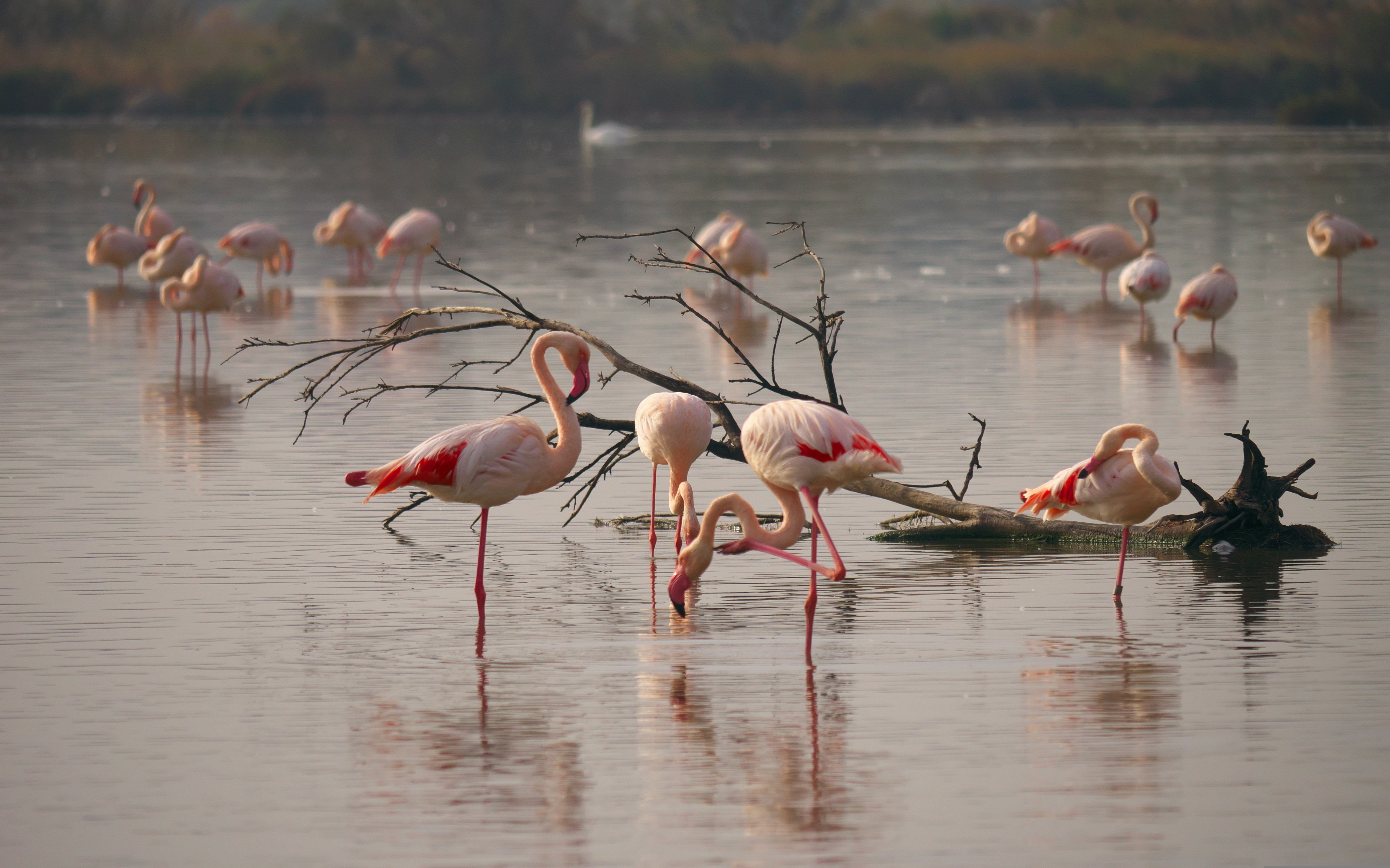 2-Day Nairobi Weekend Safari