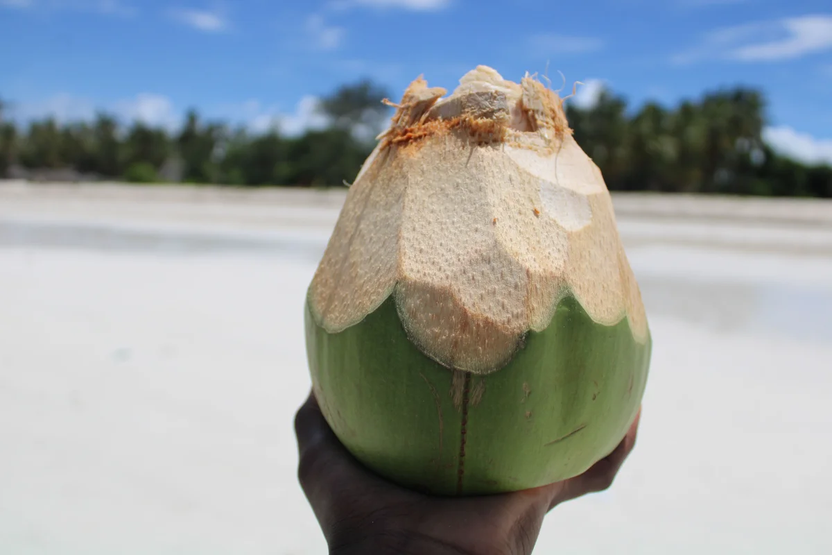 Kwale Coast