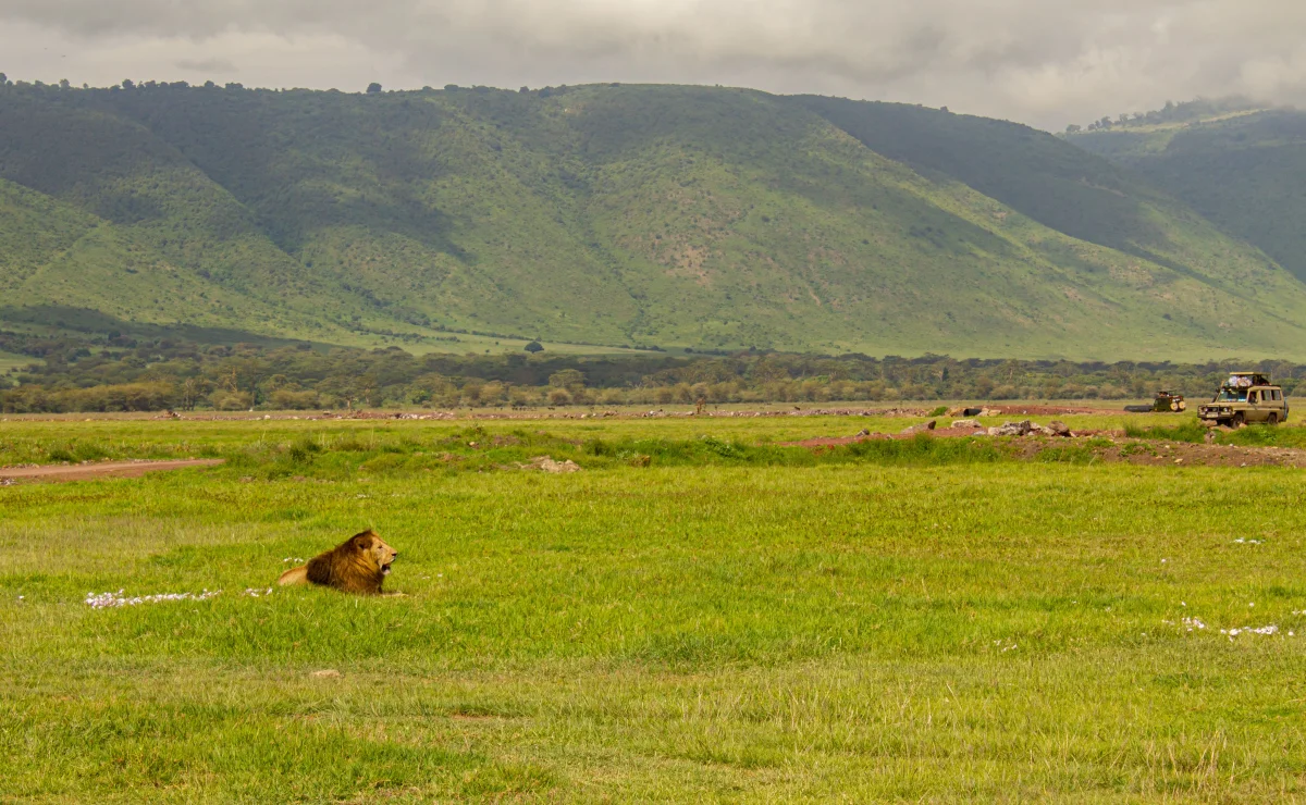 Ngorongoro Crater