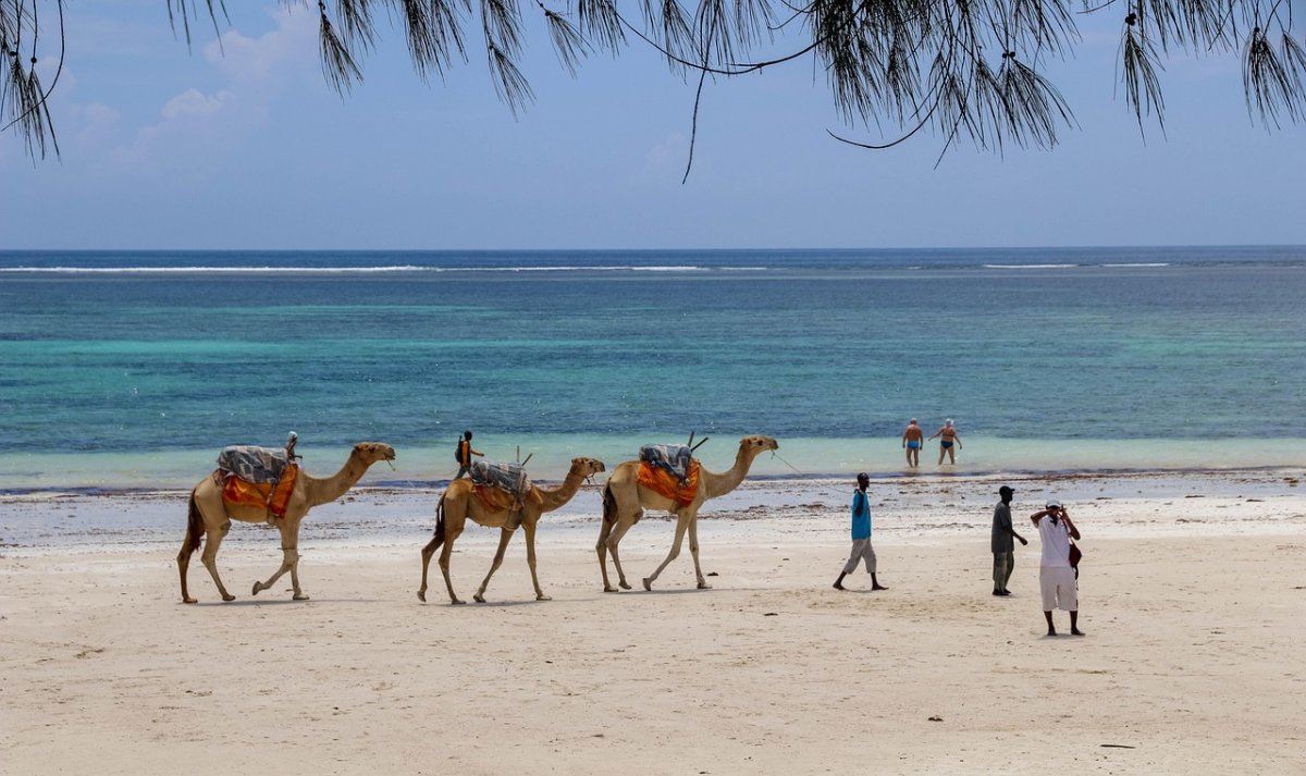6-Day Mara & Diani Beach Safari