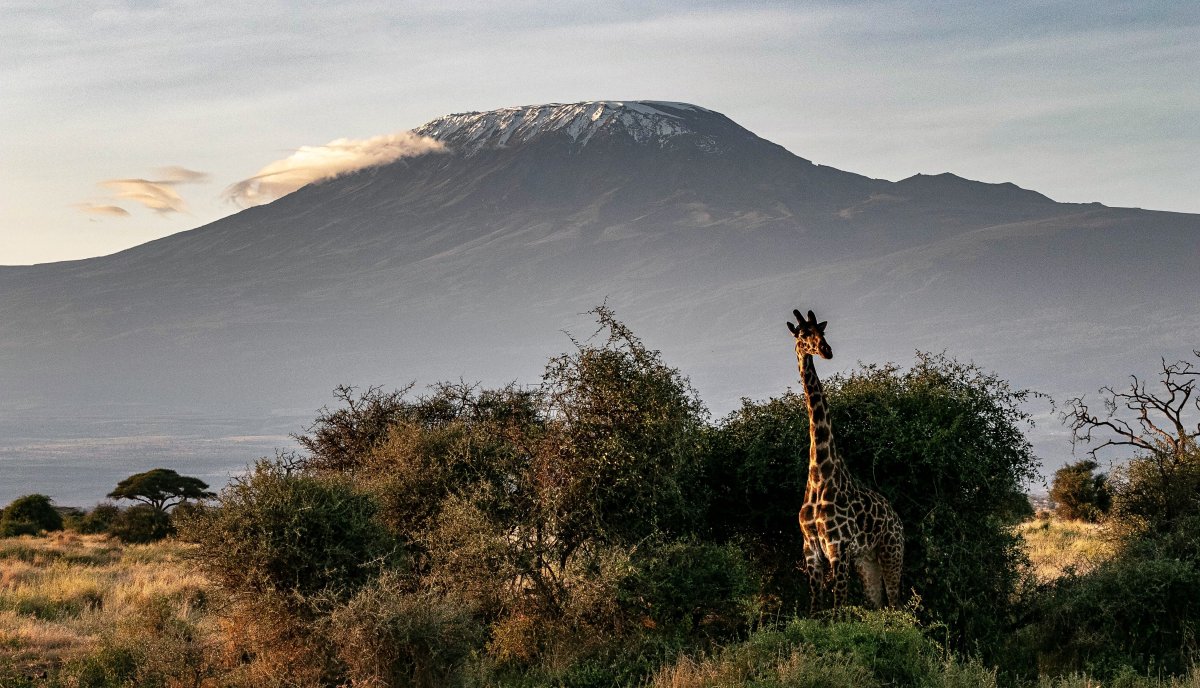 Kilimanjaro Trek (Lemosho)
